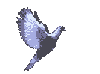 Dove of Peace