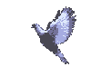 Dove of Peace