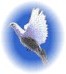 Dove of Peace